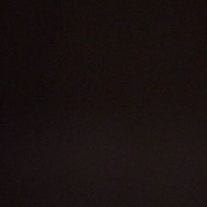 Meet your Posher, Isabella